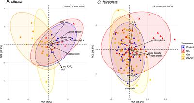 Symbiont composition and coral genotype determines massive coral species performance under end-of-century climate scenarios